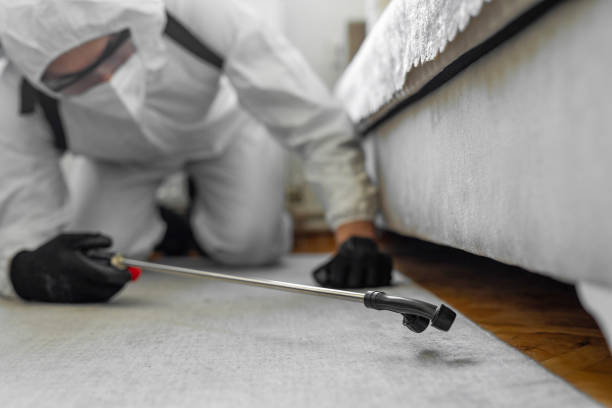 Professional Cockroach Control technician working in Beaumont, CA